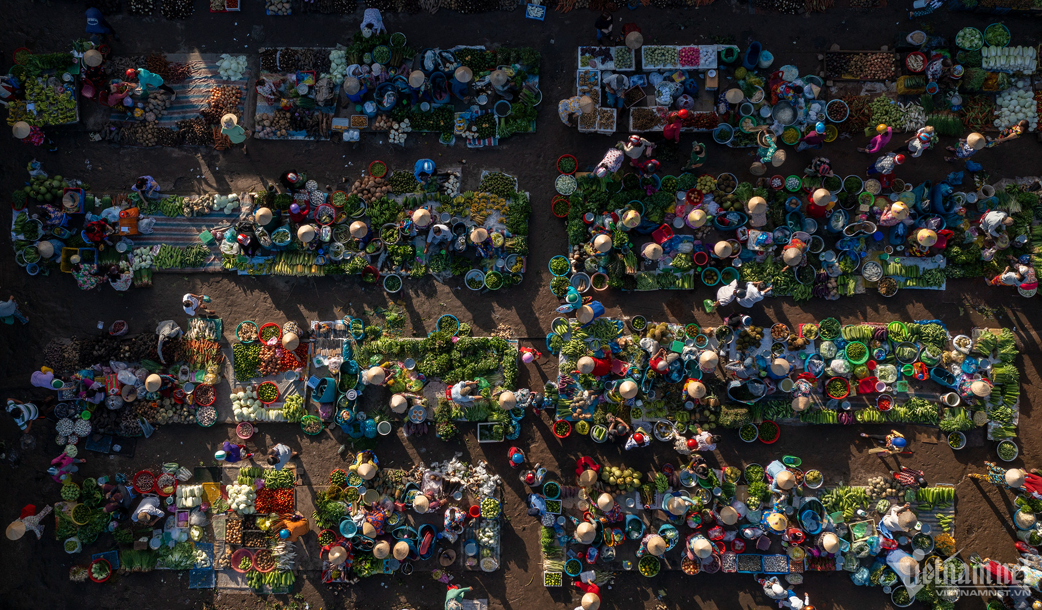 Mekong Delta Landscape